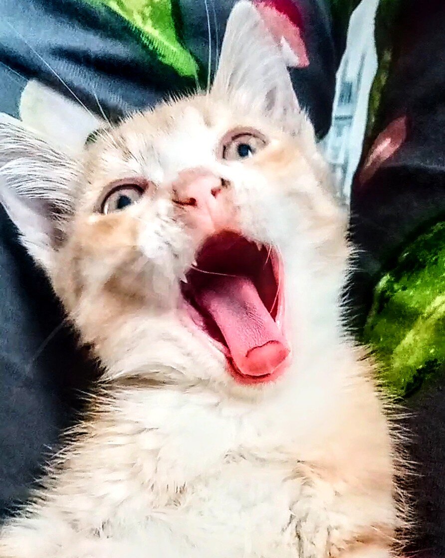 На какие знаки, стоит обращать внимание🙏