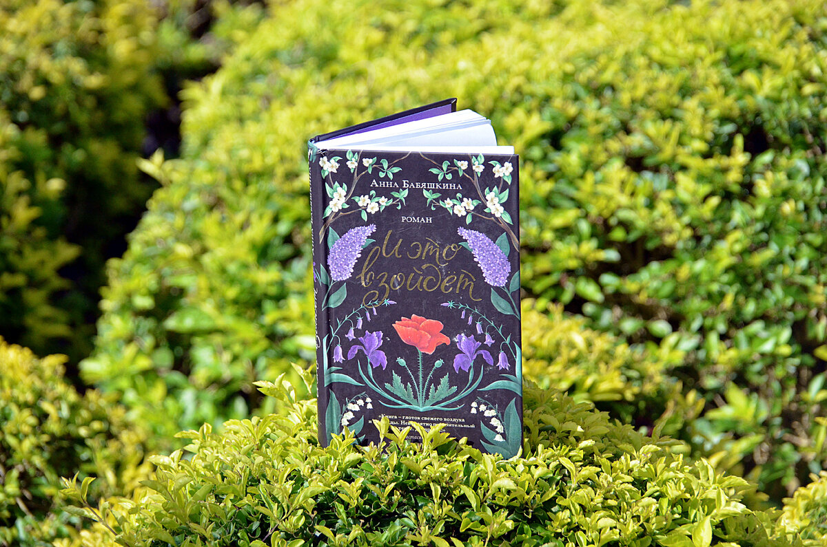 Анна Бабяшкина, роман "И Это Взойдёт": Издательство ПЛАНЖ 2022