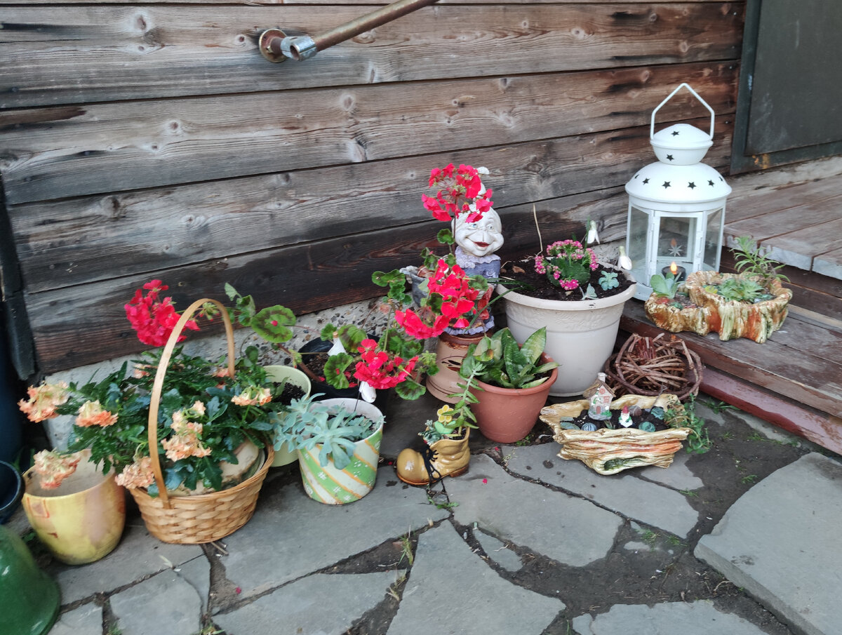 Всё-таки пора красить веранду... Страшна больно. 