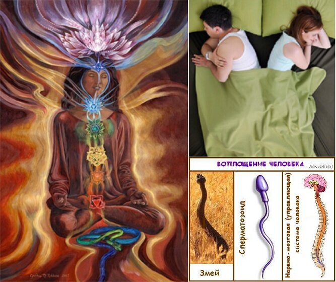  Коллаж Jehova-Ire