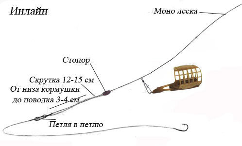 Ловля голавля на фидер