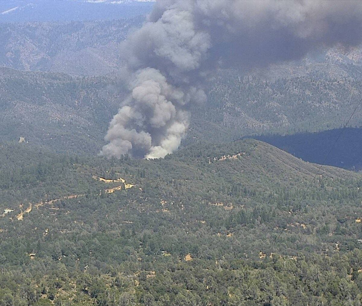    Источник фото: Twitter