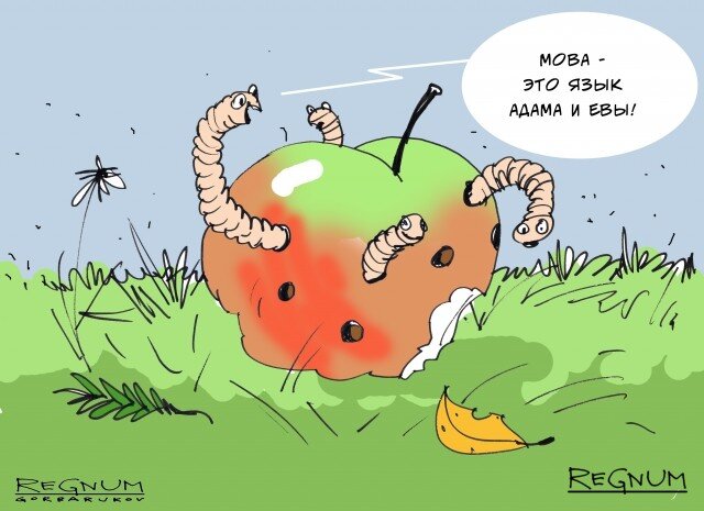 Мова. Александр Горбаруков © ИА REGNUM