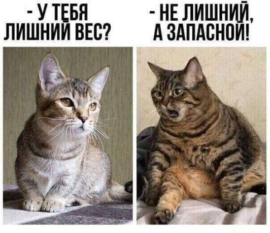 Посмеялся сам - поделись с другом!!!