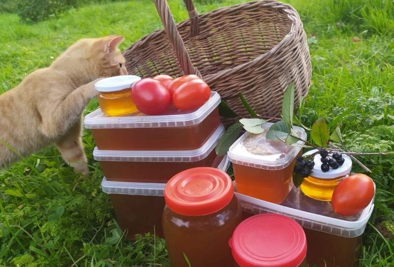 А вот котик уже проверил мед. Мед вкусный и натуральный.