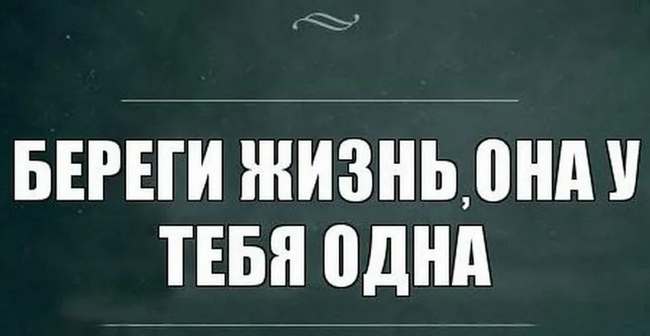 Яндекс картинки в свободном доступе