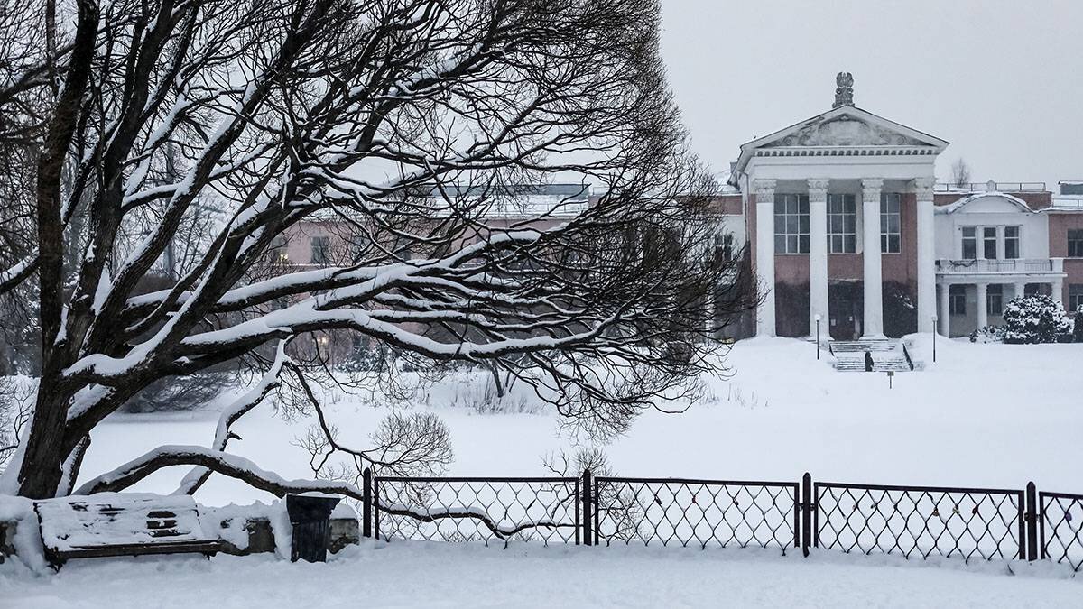    Фото: Софья Сандурская / АГН Москва