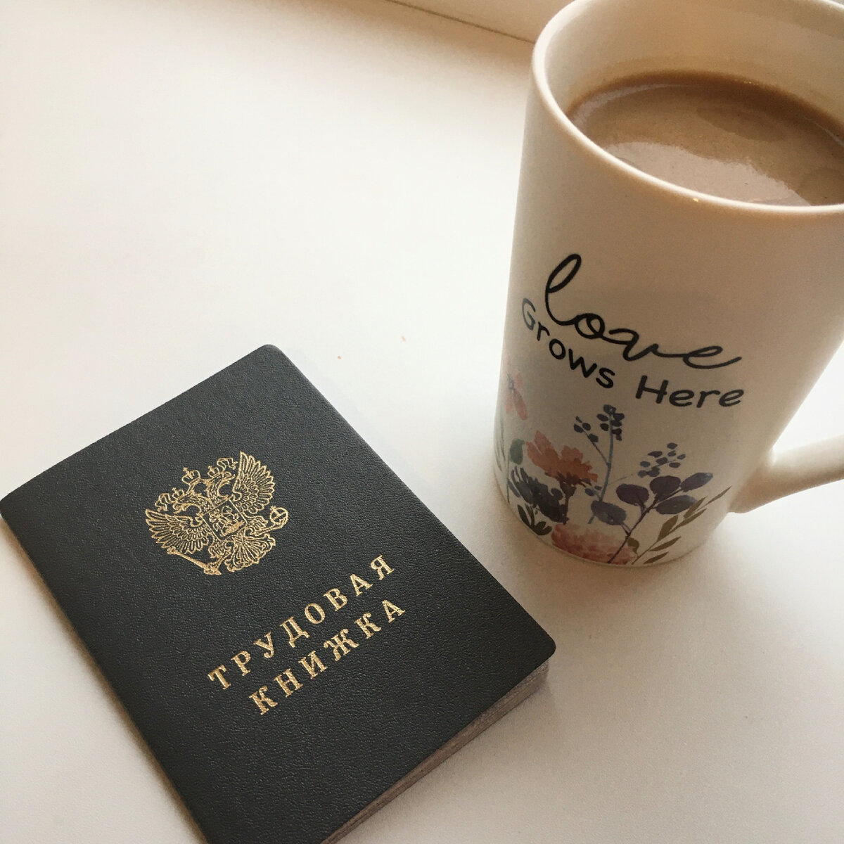 Сегодня моя трудовая будет ночевать дома😁