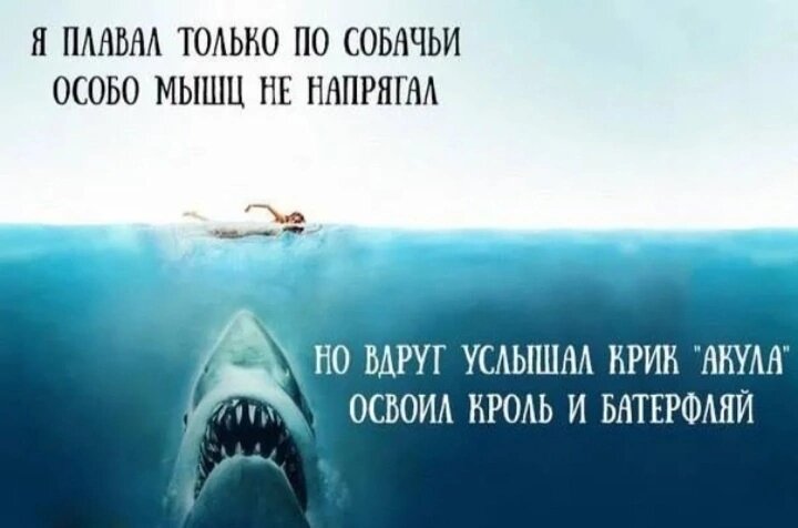 Из источников интернет