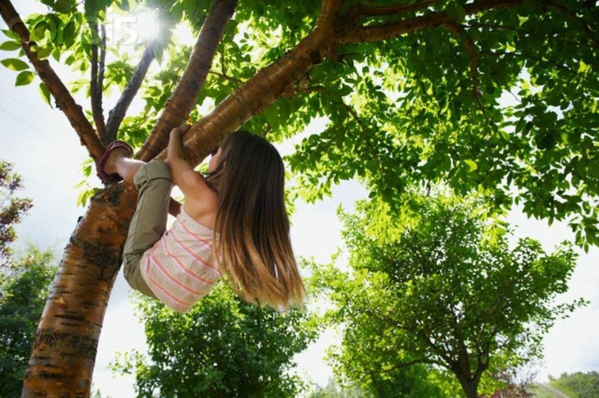 Фото: Dvinatoday.ru