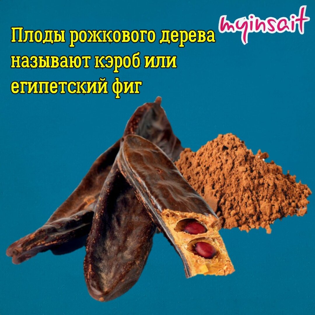 Кэроб или египетский фиг 