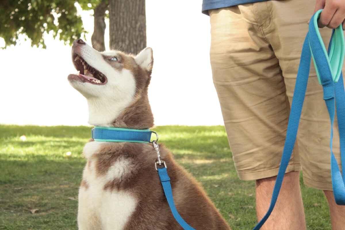 Красивая зараза