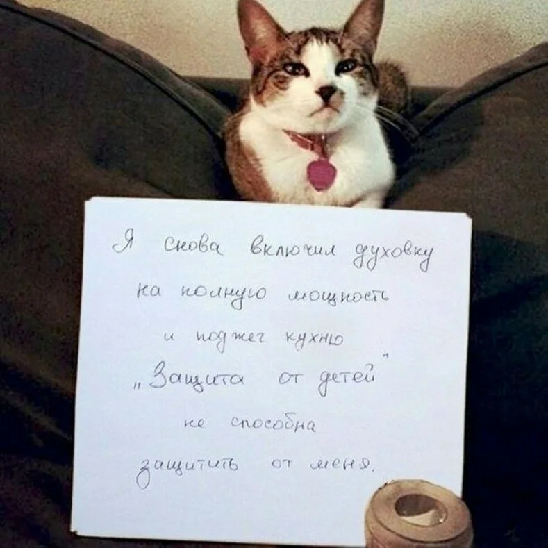 Фото Яндекс.Картинки