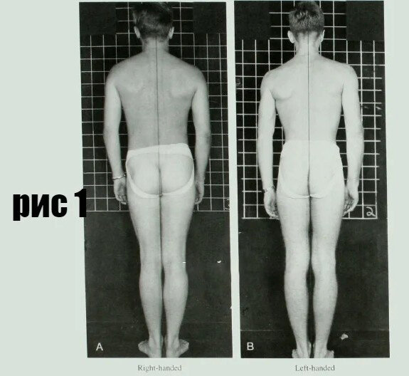 Обратите внимание на тело правши (слева) и левши (справа)