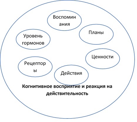 В каждый момент времени мы оперируем отдельными (не всеми) воспоминаниями, планами, ценностями и т.д.