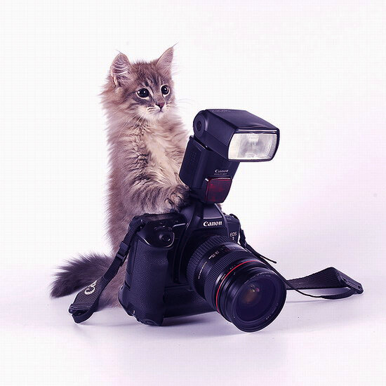 2. Фотограф