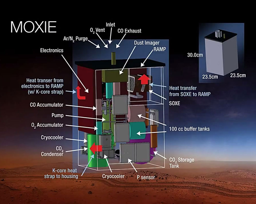 На Марс отправилось «робо-дерево», которое займется там выработкой кислорода