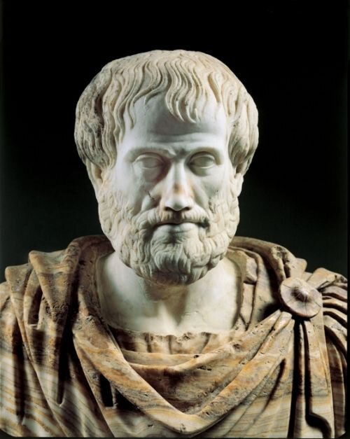 Цитаты Аристотеля, фото www.veggiepeople.org