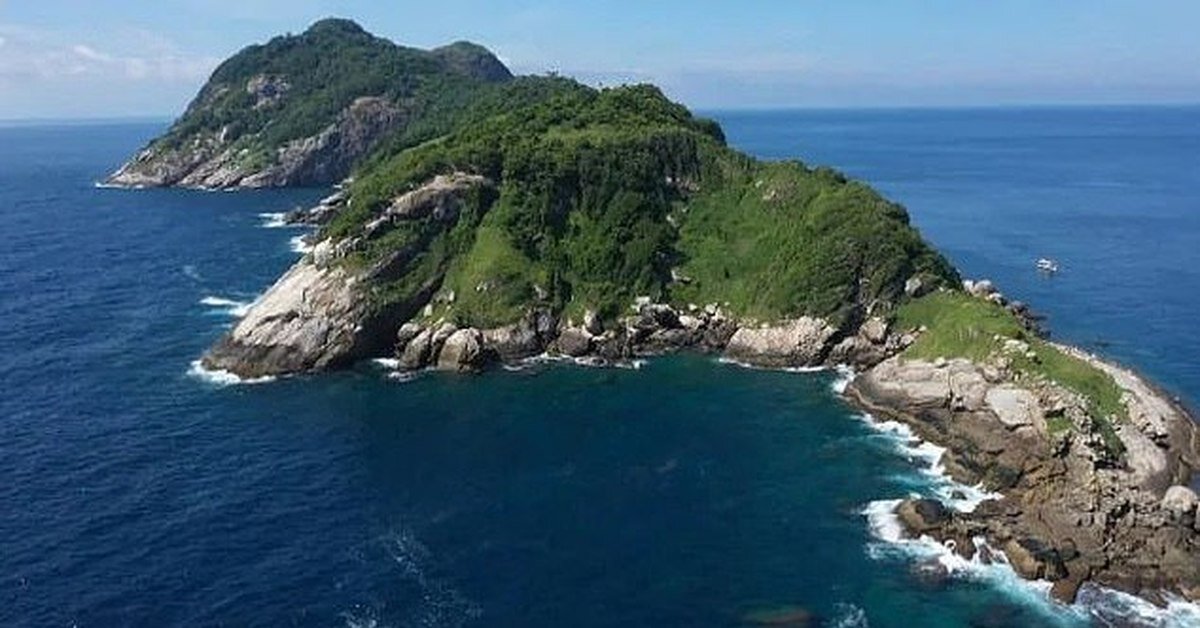 Фото взято из открытых источников