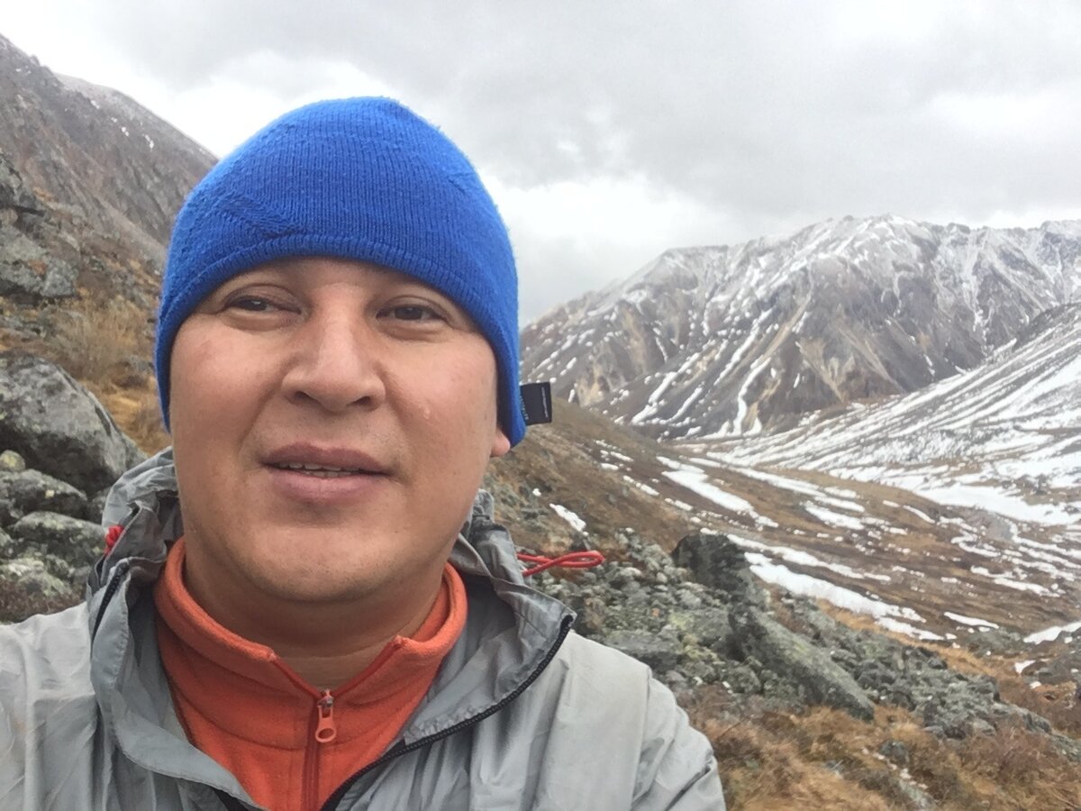 Вышел из зоны леса.