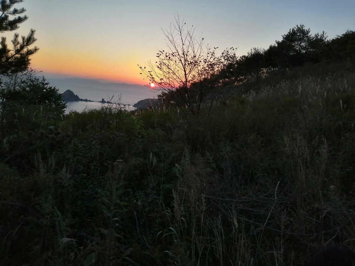 Какой прекраснейший мир создал наш Отец-Творец... 