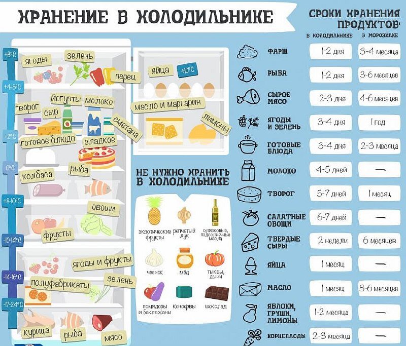 Какая температура должна быть в холодильнике для хранения продуктов: советы домохозяйкам