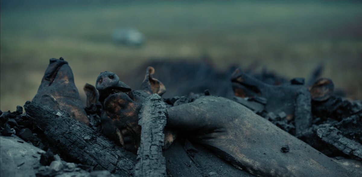 Сериал с 12 октября появится на платформе PREMIER и будет выходить по будням на канале ТНТ