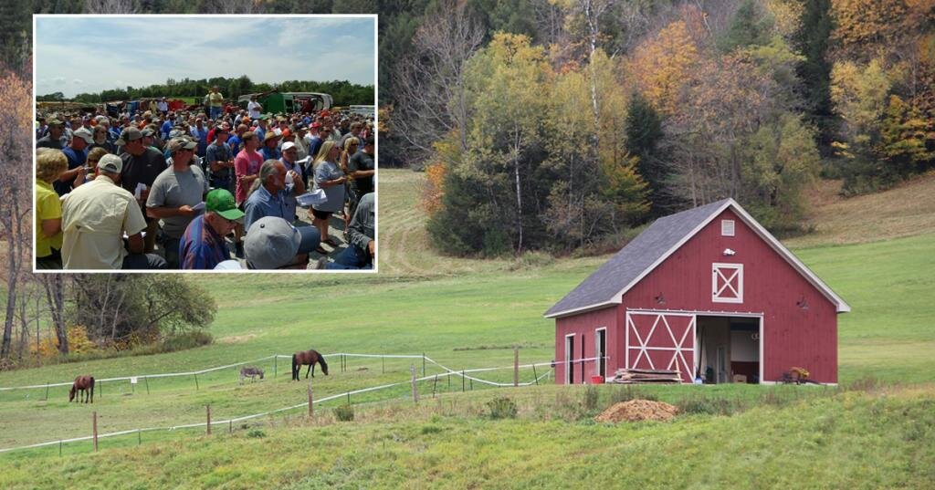 Источник: fb.ru