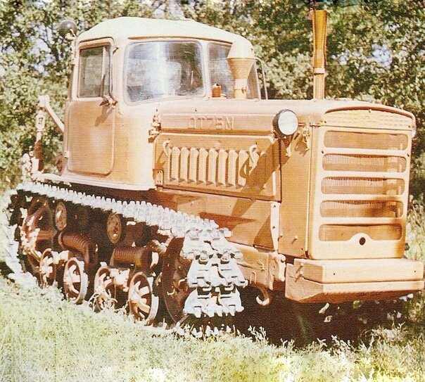 Фото из Яндекс Картинок