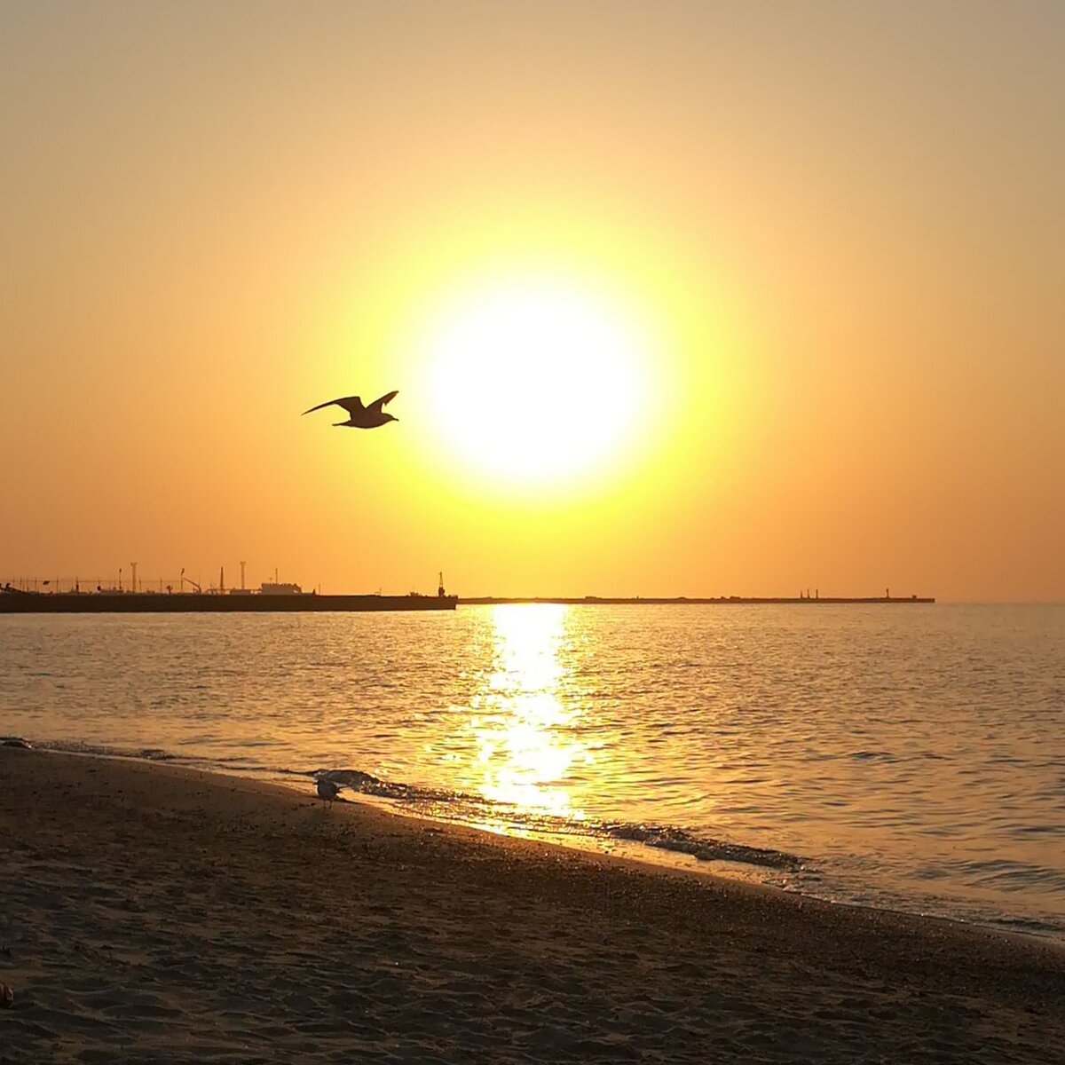 Море манит в любое время года, особенно, когда открывается курортный сезон