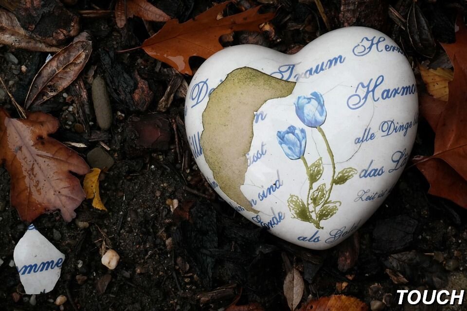 Изображение взято с бесплатного фотостока https://unsplash.com указание автора не требуется.