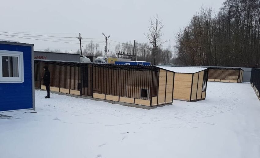 Новый приют. Фото сделано в феврале после окончания строительства