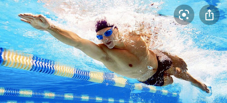 ОписаниеПла́вание — вид спорта или спортивная дисциплина, заключающаяся в преодолении вплавь за наименьшее время различных дистанций.