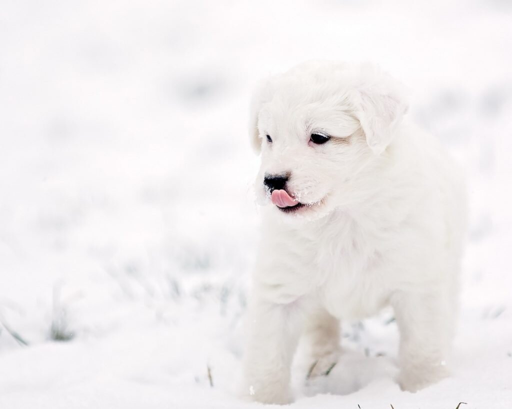 Источник: https://www.pinterest.ru/