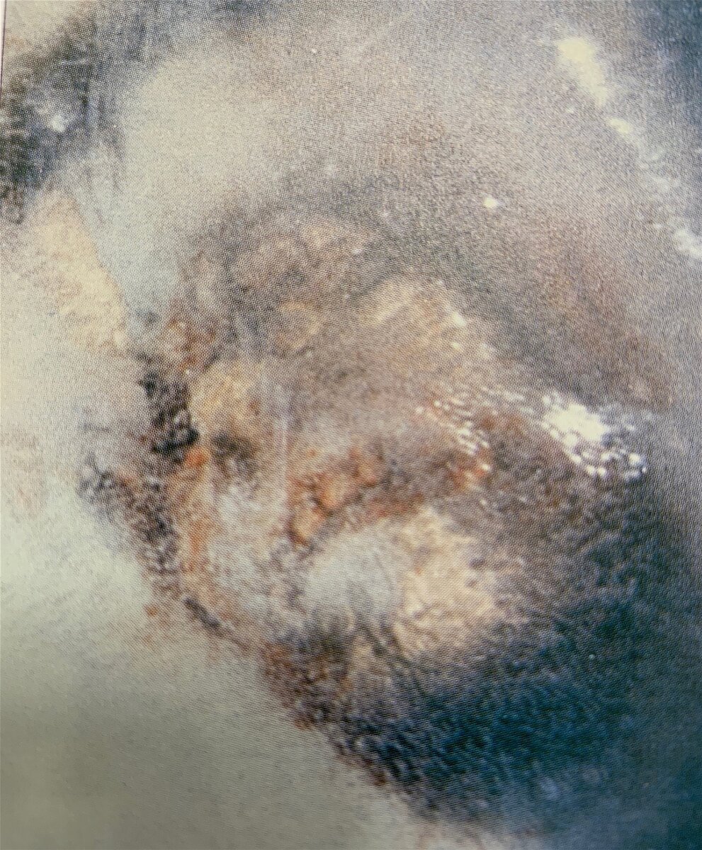 Голова "Замороженного существа из Миннесоты"