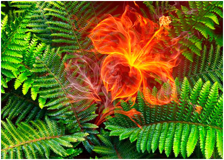 Источник https://www.culture.ru/storage/images/069969c1aada57eaf2803664bceae200/47d84d9c216e79d2ebb85bbaa8eea402.jpeg 