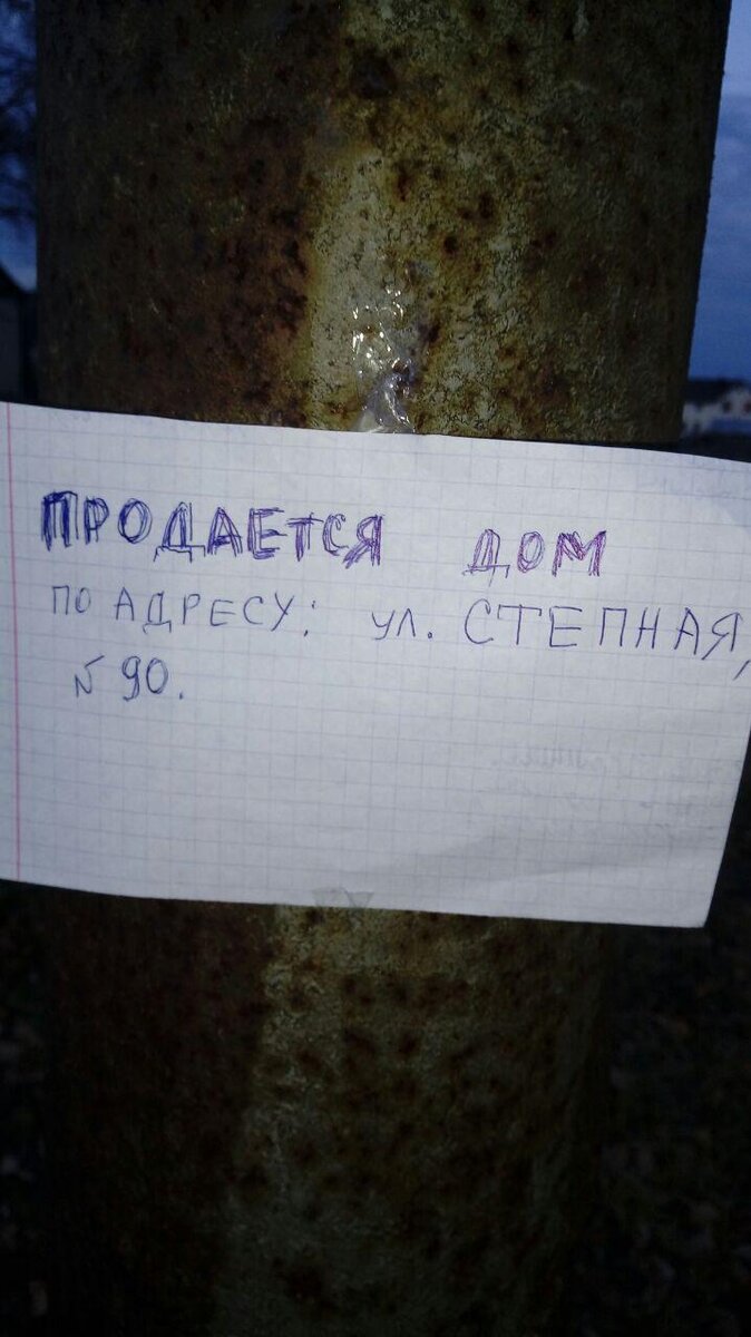 Фото автора.