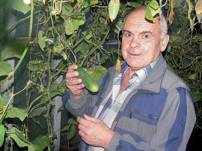 Алексей литвинов фото