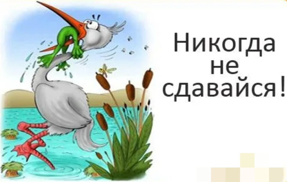 Никогда день. Никогда не сдавайся!. Плакат никогда не сдавайся. Никогда не сдавайся лягушка. Открытка никогда не сдавайся.