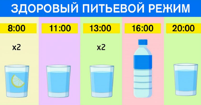 Ориентировочные часы приёма жидкости, у вас может быть свой, индивидуальный  