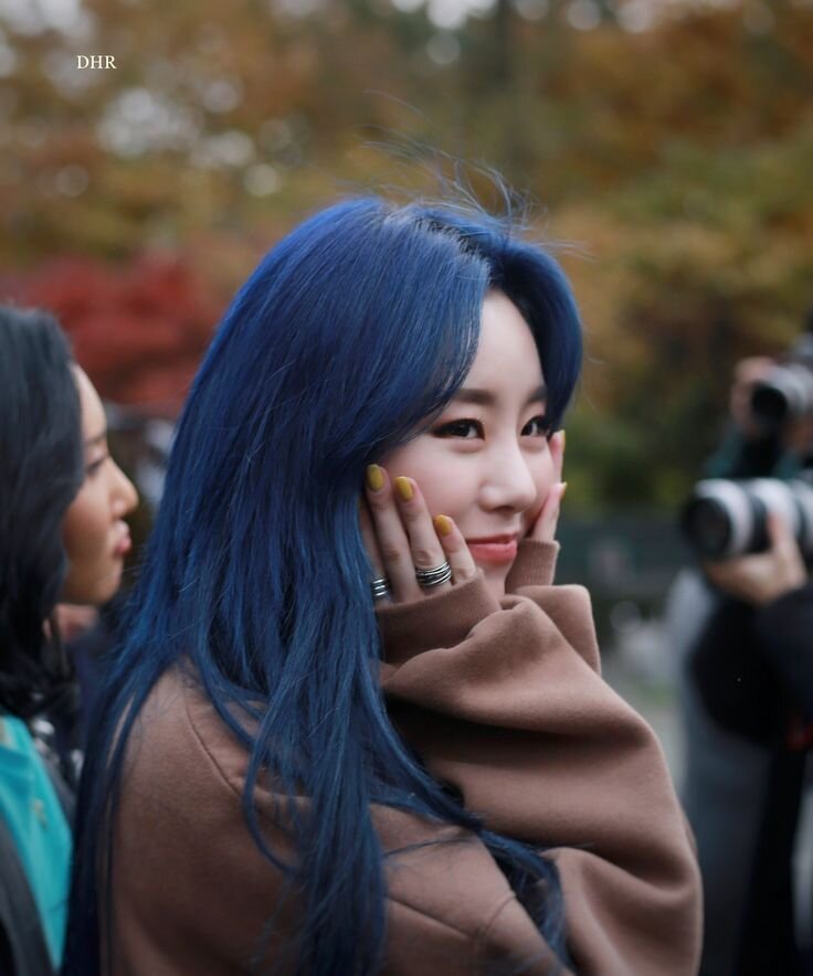 Яндекс.Картинки (Хвин) 