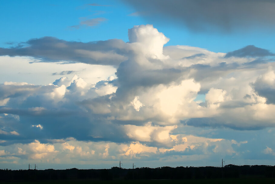 Образ человека на ветру с развивающимся шарфом! Видите?