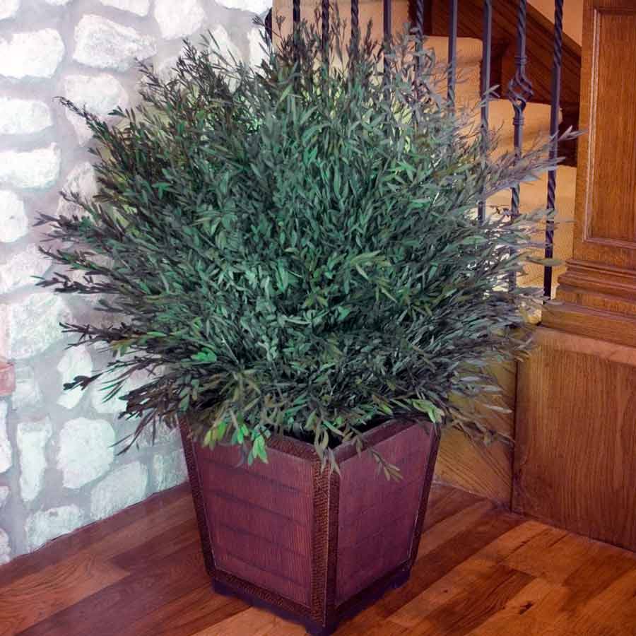 Фото взято из открытого источника Яндекс Картинка