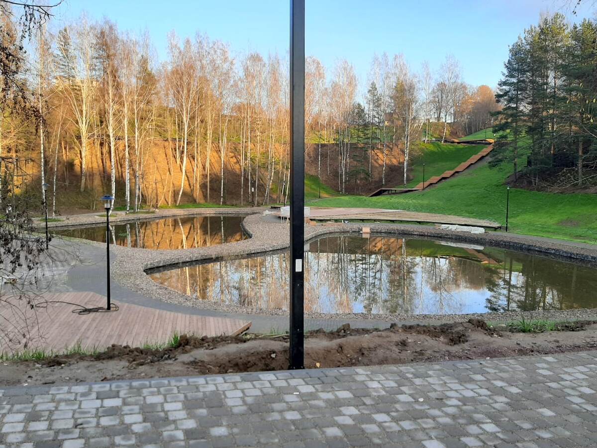 Песчанка изнутри.