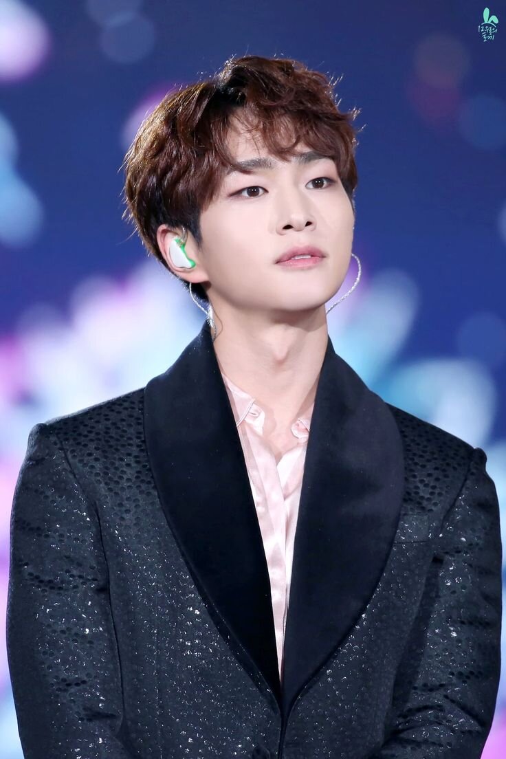 Яндекс.Картинки 