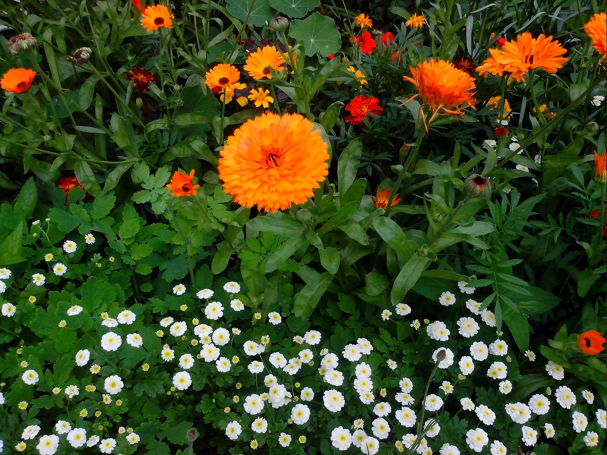 Фото Виллевальд Маргариты