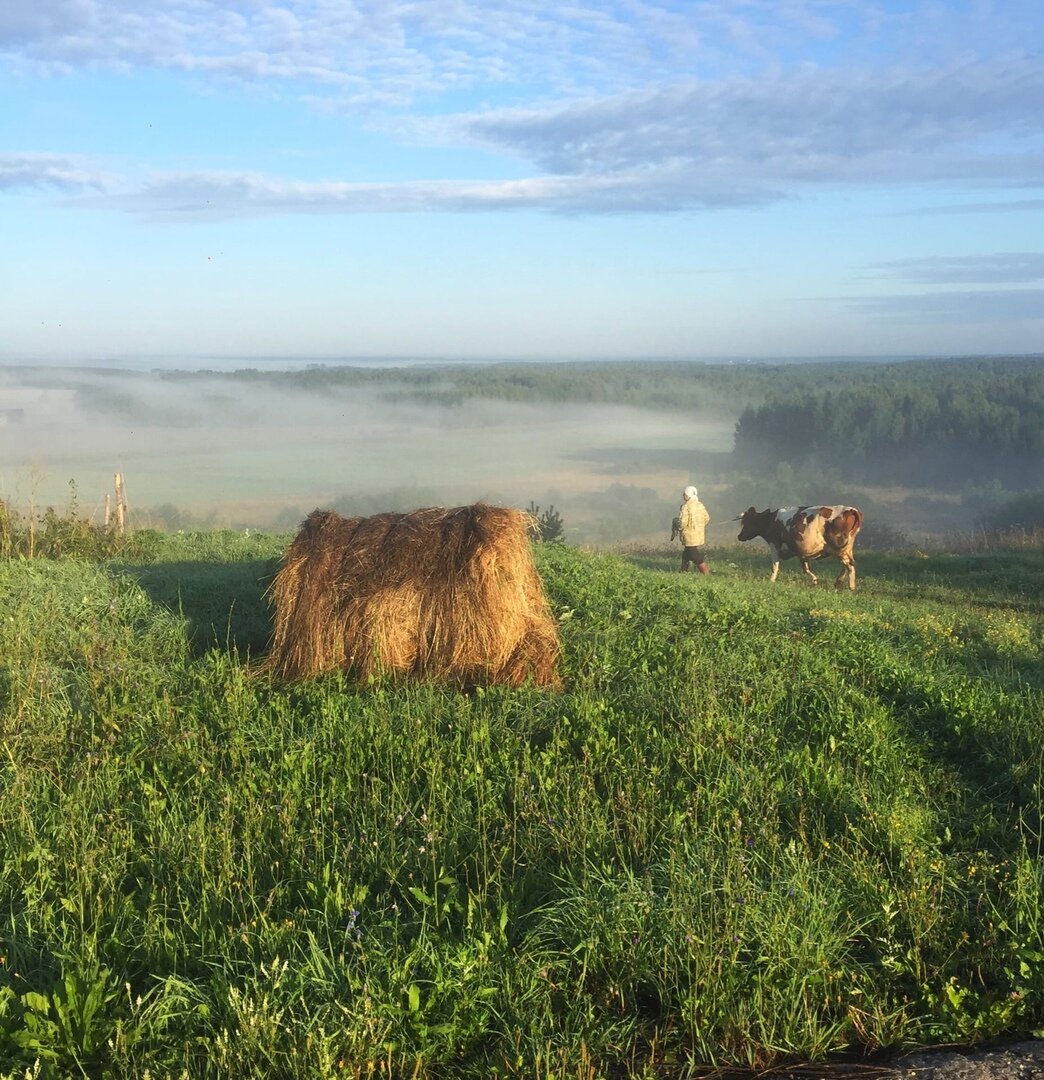 Рассвет в деревне . Снято на смартфон.