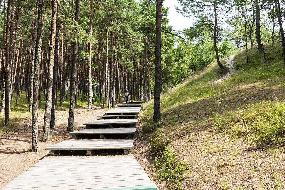 Дорожка на высоту Эфа. Фото автора