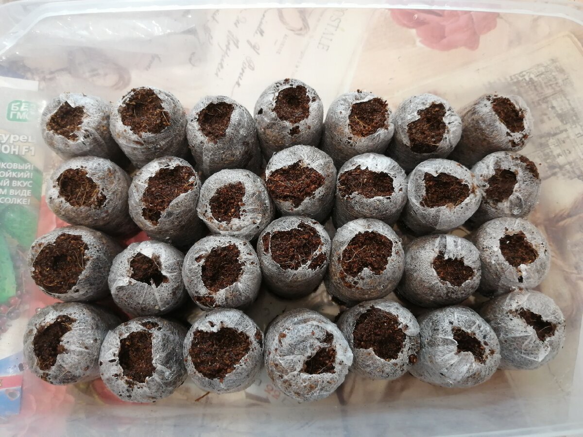 Лишнюю воду нужно слить