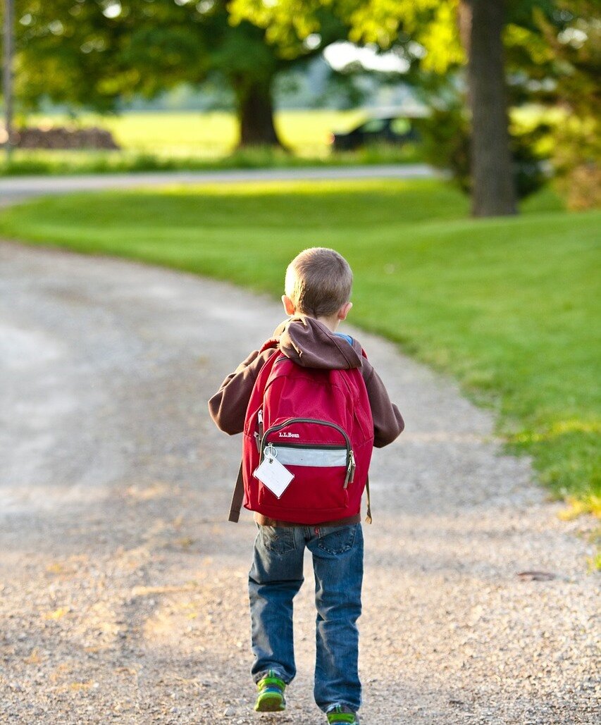 Летом вместо отдыха, дети будут вынуждены учиться :(